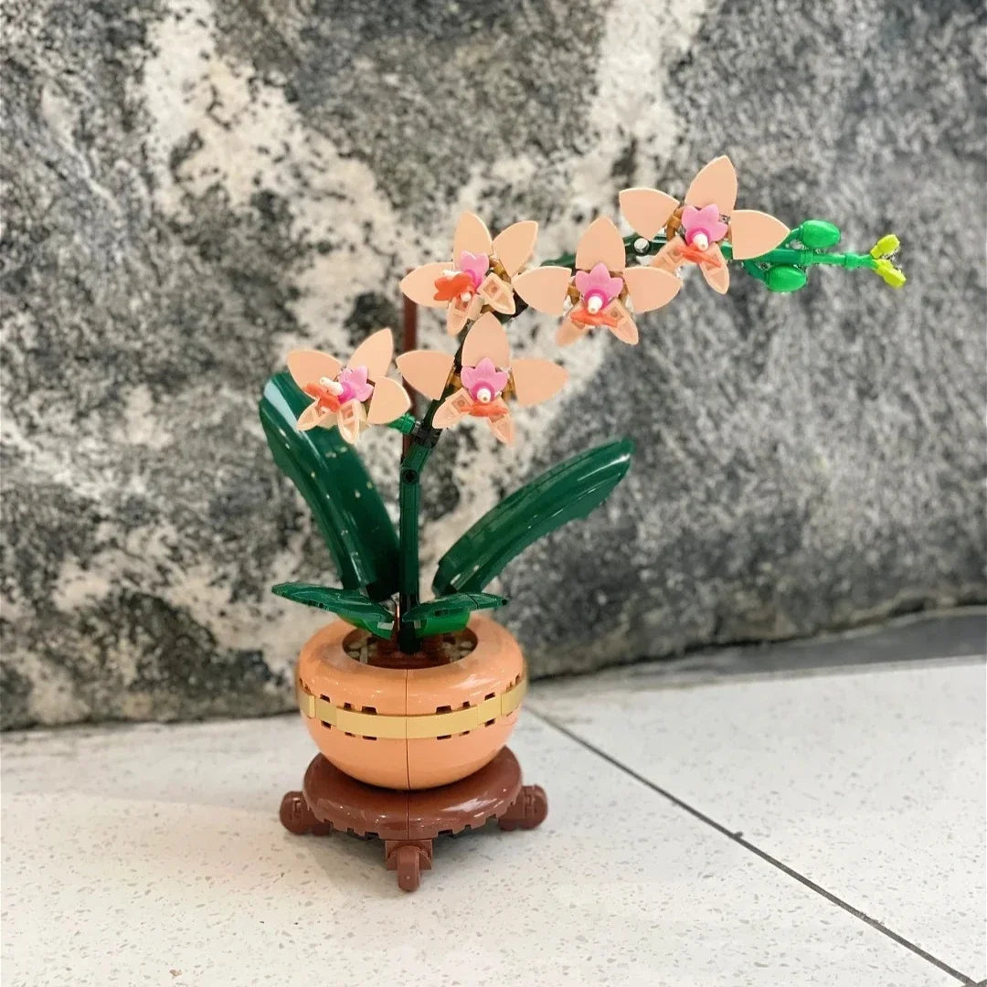 Orchidee